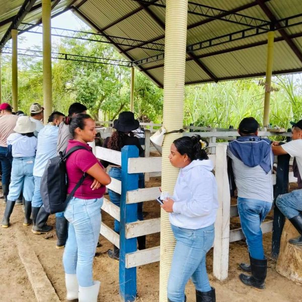 Evento_UniSucre_ganaderia_Alabama_2