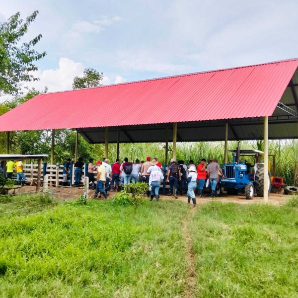 Evento_UniSucre_ganaderia_Alabama_4